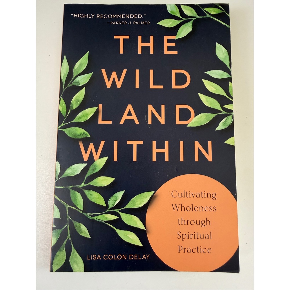 The Wild Land Within Lisa Colon DeLay Spiritual Practice Christian Living Book